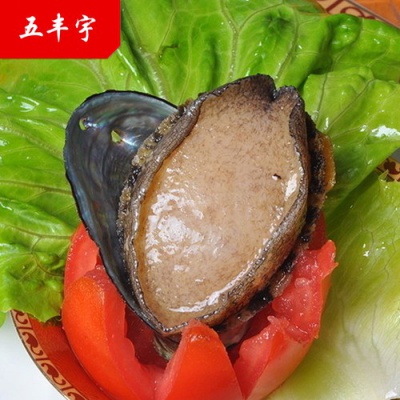 五丰宇大连活冻鲍鱼 每袋6只