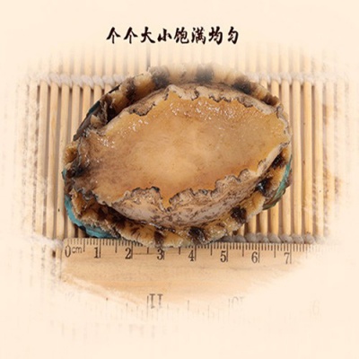 五丰宇大连活冻鲍鱼 每袋6只