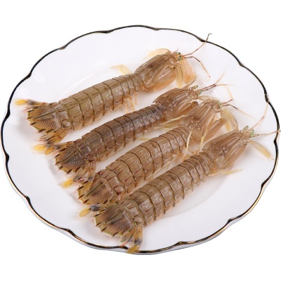 甲渔海鲜行|威海皮皮虾大爬虾鲜活富贵虾螳螂虾婆濑尿虾 呼叫店员新鲜购买