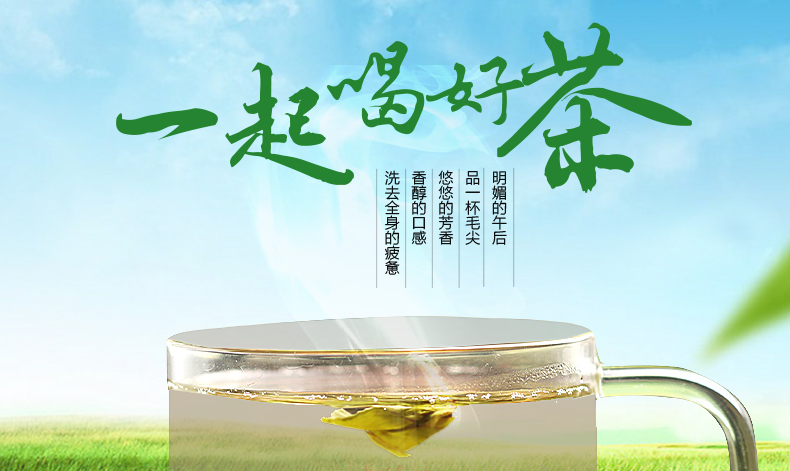 伏羲茶坊 信阳毛尖*500g