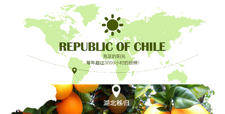 国产 价格 脐橙