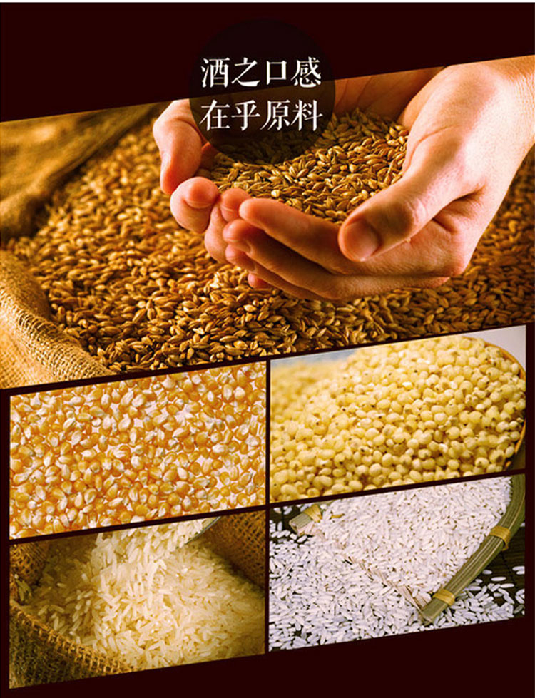 【只做展示商品,不做售卖商品】五粮液自园春 浓香型 500ml